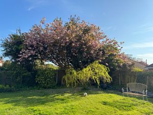 Photo 22- click for photo gallery